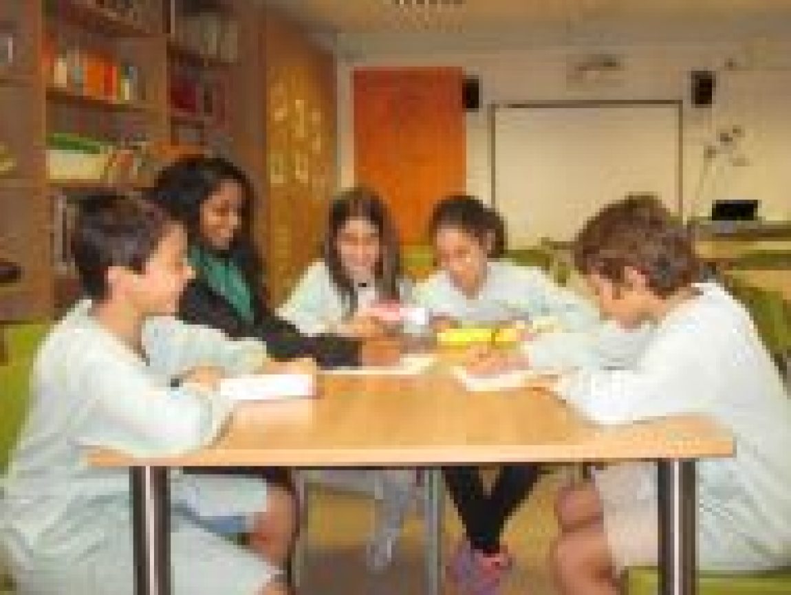 AUXILIAR DE CONVERSA DE PARLA ANGLESA.