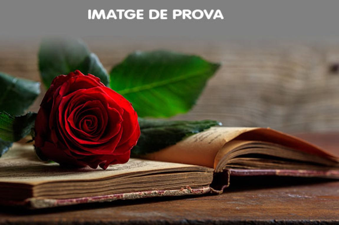 DIA DE SANT JORDI, els llibres i la lectura