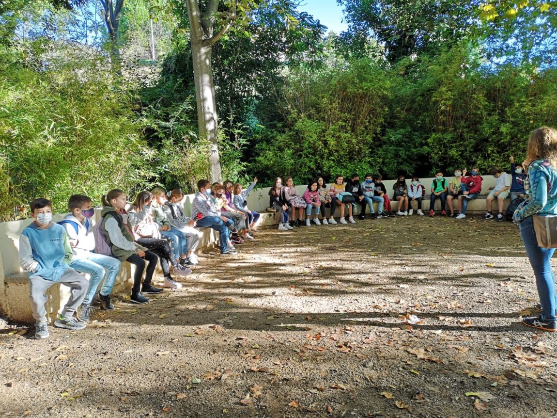 Sensibilitat per la natura i l’entorn.